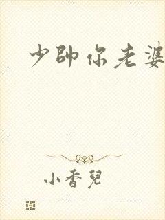少帅你老婆