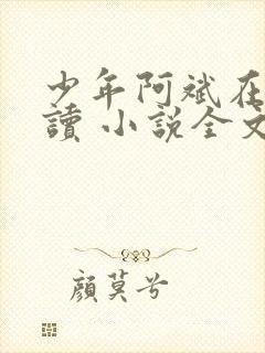 少年阿斌在线阅读 小说全文免费