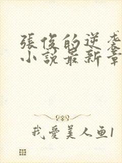 张俊的逆袭之路小说最新章节