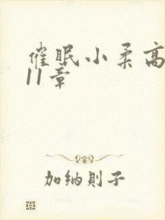 催眠小柔高达第11章