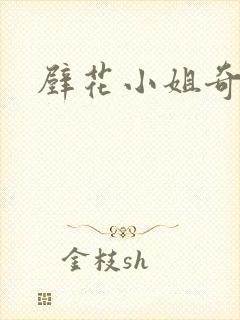 壁花小姐奇遇记