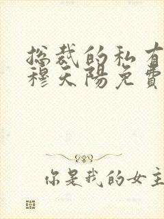 总裁的私有宝贝穆天阳免费