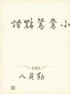 错点鸳鸯小说