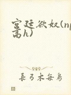 宫廷欲奴(np高h)