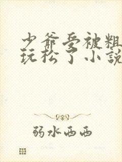 少爷受被粗汉H玩松了小说