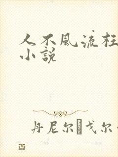 人不风流枉少年小说