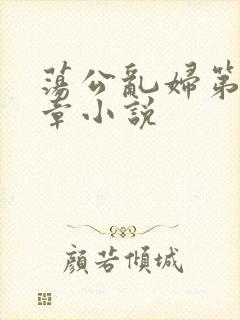 荡公乱妇第51章小说