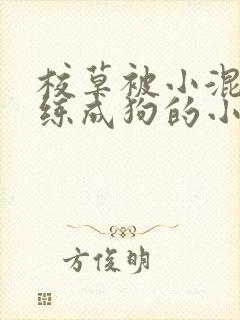 校草被小混混训练成狗的小说