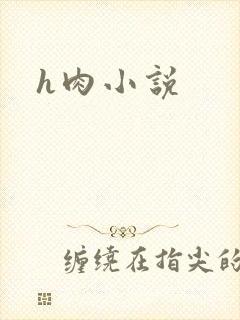 h肉小说