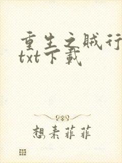 重生之贼行天下txt下载