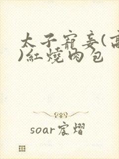 太子宠妾(高肉)红烧肉包