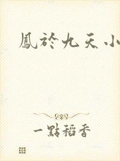 凤于九天小说