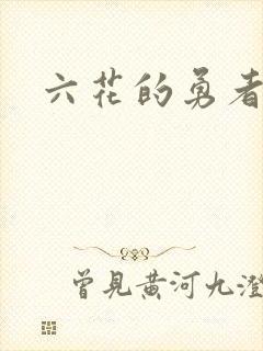 六花的勇者小说