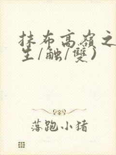 抹布高岭之花(生/触/双)