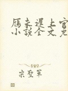 雁未迟上官穿越小说全文免费阅读