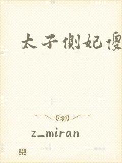 太子侧妃傻乎乎