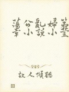 荡公乱妇第51章小说小莹