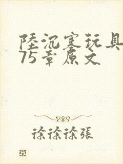 陆沉塞玩具高速75章原文