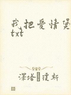 我把爱情煲成汤txt
