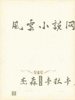 风云小说网