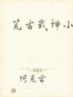荒古武神小说