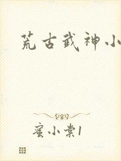 荒古武神小说