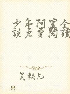 少年阿宾全文小说免费阅读笔趣阁