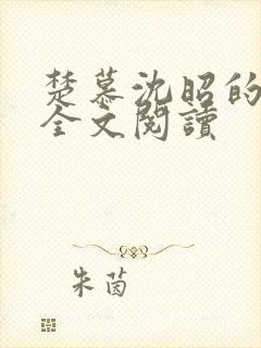 楚慕沈昭的小说全文阅读