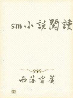 sm小说阅读