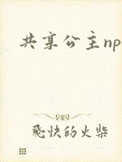 共享公主npc