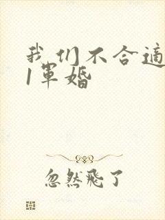 我们不合适1v1军婚