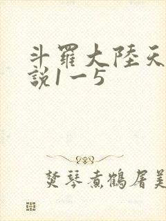 斗罗大陆天狂传说1一5