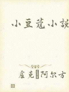 小豆蔻小说