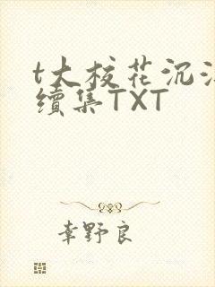 t大校花沉浮录续集TXT