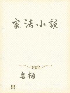 家法小说