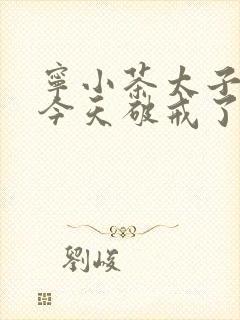 宁小茶太子殿下今天破戒了吗免费阅读
