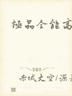 极品全能高手