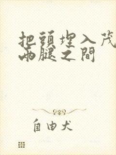 把头埋入茂密的两腿之间