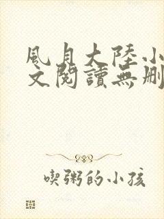 风月大陆小说全文阅读无删减