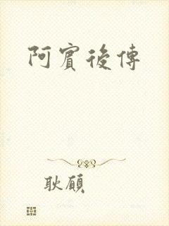 阿宾后传