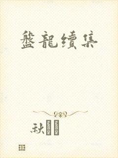 盘龙续集