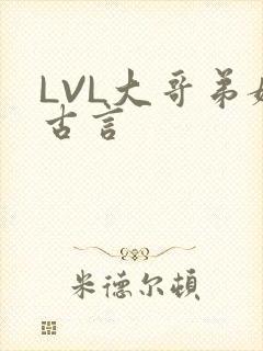 LVL大哥弟媳古言
