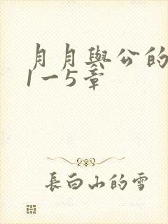 月月与公的激情1一5章