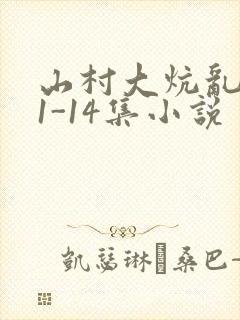 山村大炕乱肉续1-14集小说