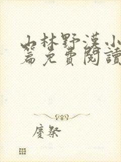 山林野汉小说全篇免费阅读