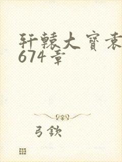 轩辕大宝袁雪妃674章