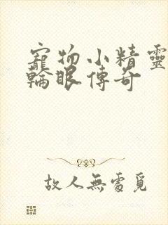 宠物小精灵之写轮眼传奇