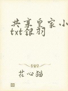 共享皇家小公主txt银羽