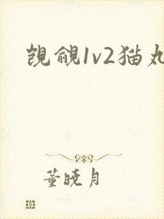 觊觎1v2猫丸