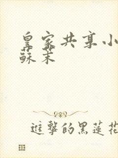 皇家共享小公主苏茉